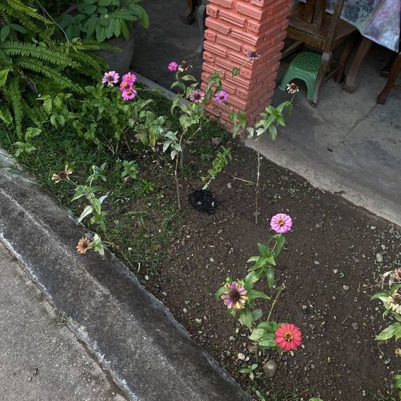 แชท หาเพื่อนคุย  ที่อยู่  สมุทรปราการ
