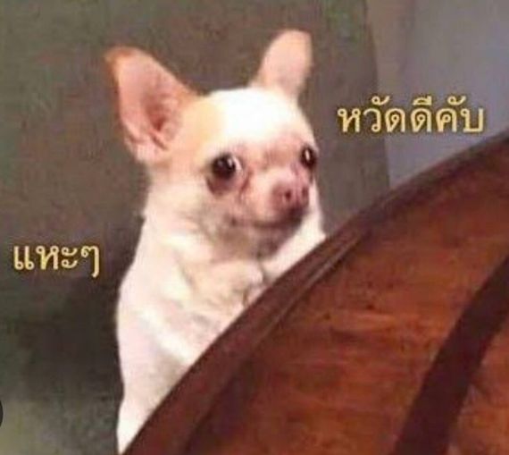 chat looking for friends 