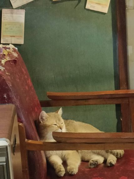 แชท หาเพื่อนคุย 
