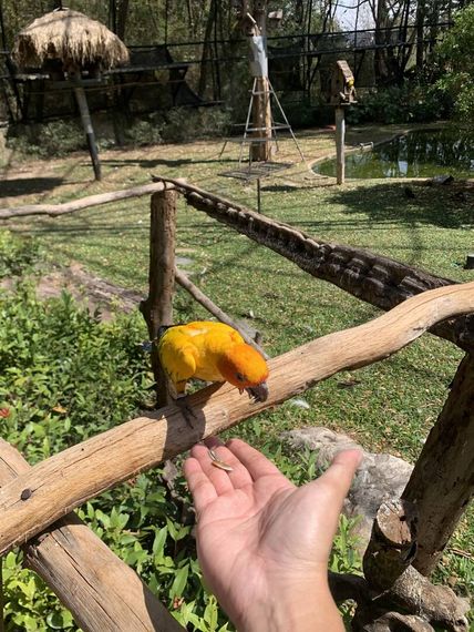 แชท หาเพื่อนคุย 