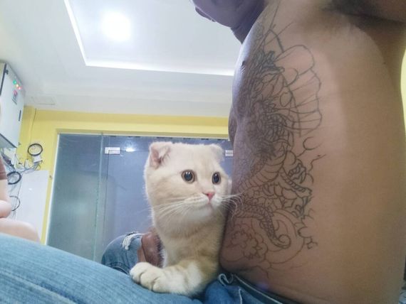แชท หาเพื่อนคุย 