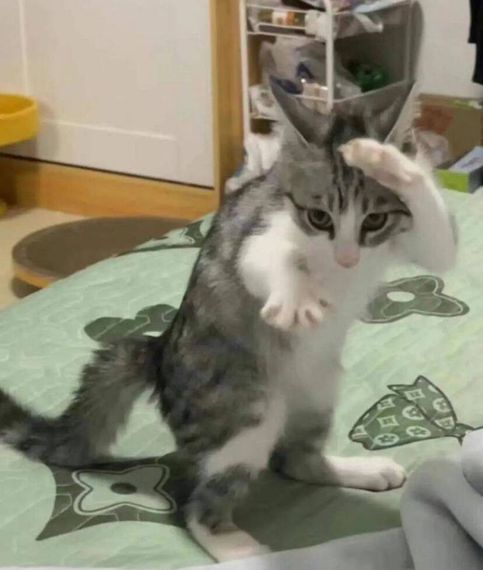 แชท หาเพื่อนคุย, หาเพื่อนเที่ยว 