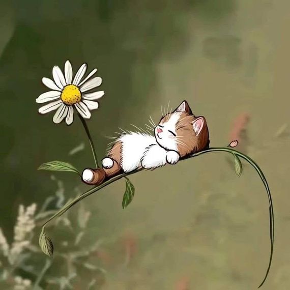 chat chat, single 