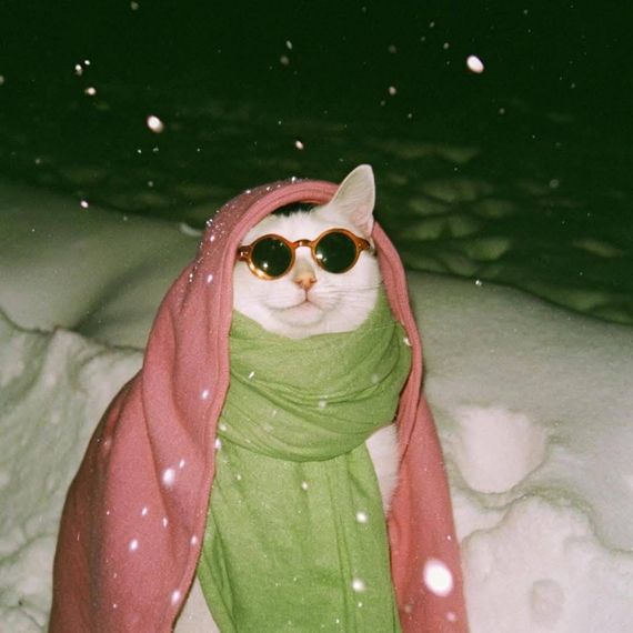 chat chat, camera chat 