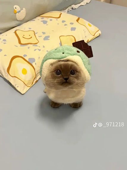 แชท หาเพื่อนคุย  ที่อยู่  ชลบุรี