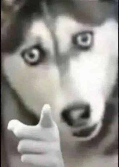 chat looking for friends 