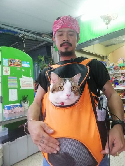 chat find love, chat 