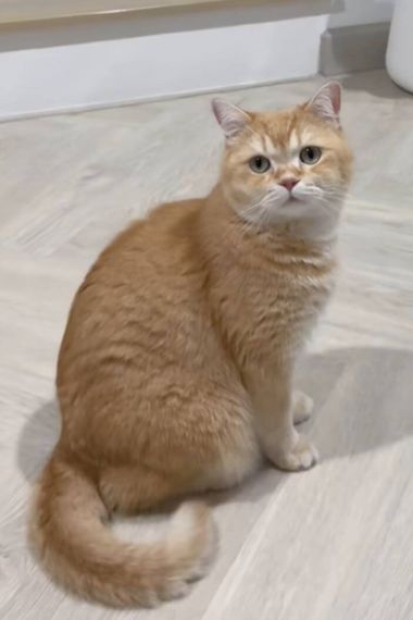 chat looking for friends 