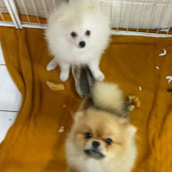 แชท หาแฟน, หาเพื่อนคุย  ที่อยู่ กรุงเทพมหานคร