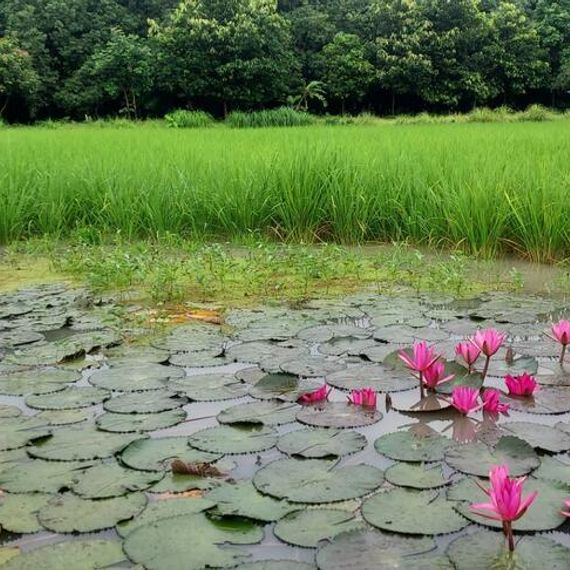 แชท หาเพื่อนคุย, หากิ๊ก  ที่อยู่  อุดรธานี