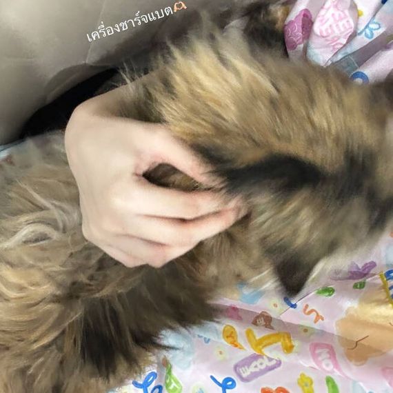 แชท หาเพื่อนคุย 
