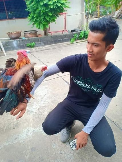 แชท หาเพื่อนคุย 