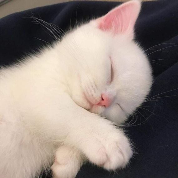 chat looking for friends 