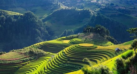 แชท หาเพื่อนคุย, หากิ๊ก  ที่อยู่  นครราชสีมา