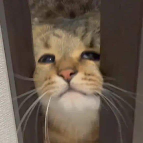 แชท หาเพื่อนคุย, หาเพื่อนเที่ยว 