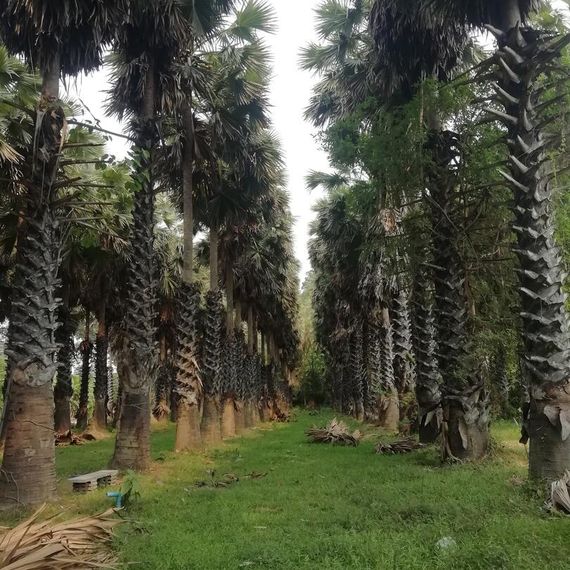 แชท หาเพื่อนคุย  ที่อยู่ กรุงเทพมหานคร