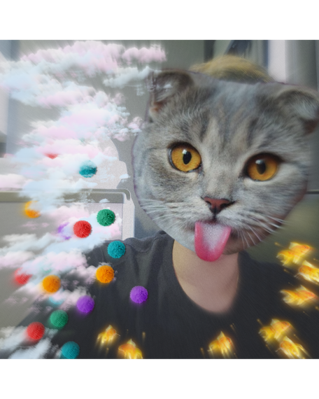 chat looking for friends 
