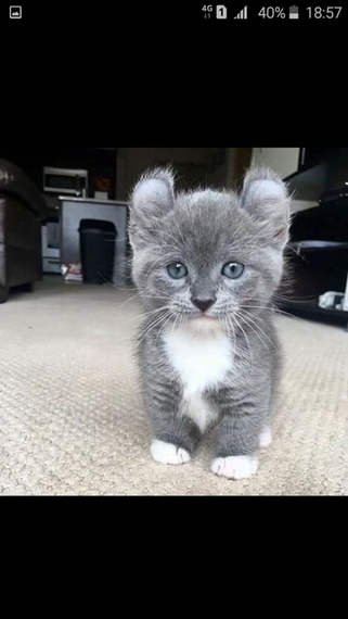 แชท หาเพื่อนคุย, หาเพื่อนเที่ยว 