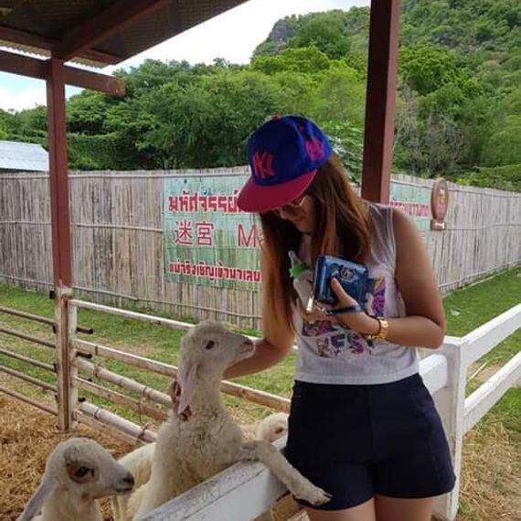 แชท หาเพื่อนคุย 