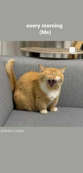 chat looking for friends 