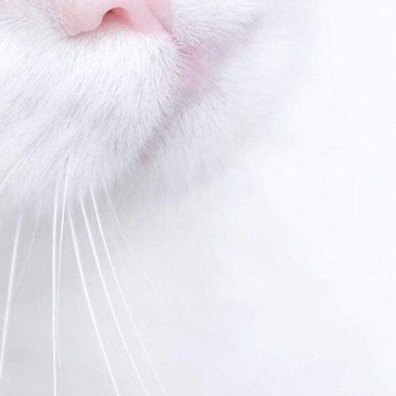 แชท หาแฟน, หาเพื่อนคุย 