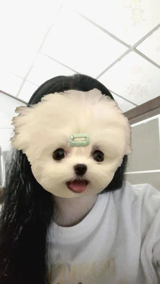 แชท หาเพื่อนคุย, โสด 