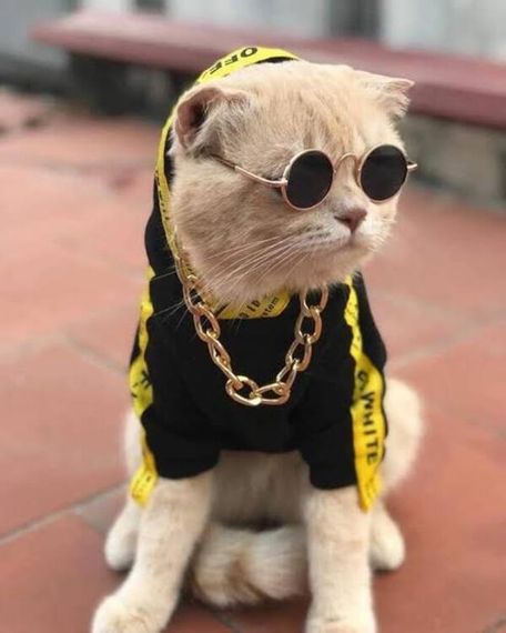 แชท หาแฟน, หาเพื่อนคุย 