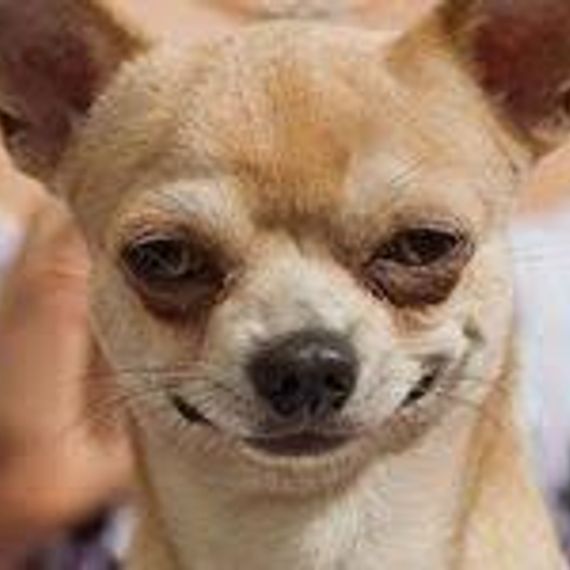 แชท หาแฟน, โสด 