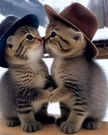 chat chat, find 2nd love