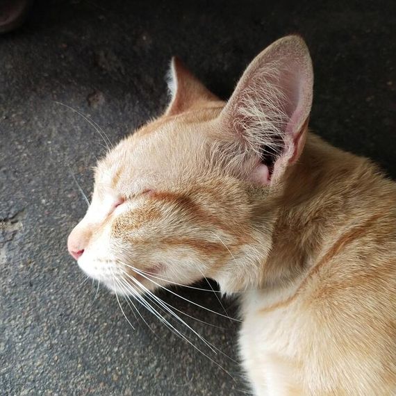 แชท หาเพื่อนคุย, หาเพื่อนเที่ยว 