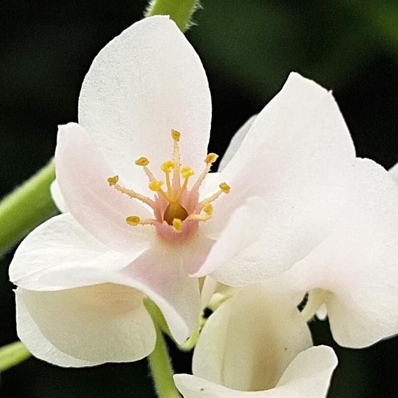 แชท หาเพื่อนคุย, หาเพื่อนเที่ยว 