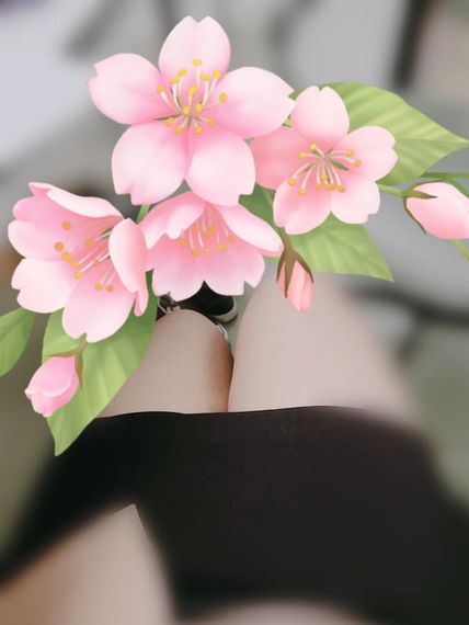 แชท โสด 