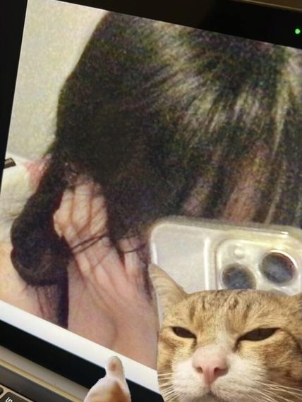 chat looking for friends 