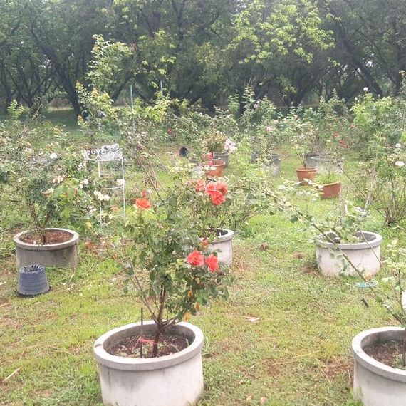 แชท หาแฟน, หาเพื่อนคุย 