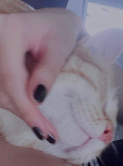 chat looking for friends 