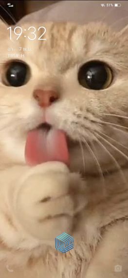 chat looking for friends 