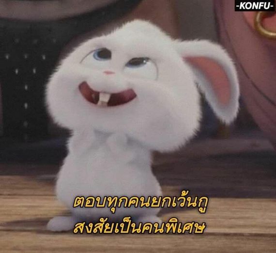 chat looking for friends 