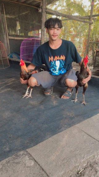 แชท หาเพื่อนคุย 
