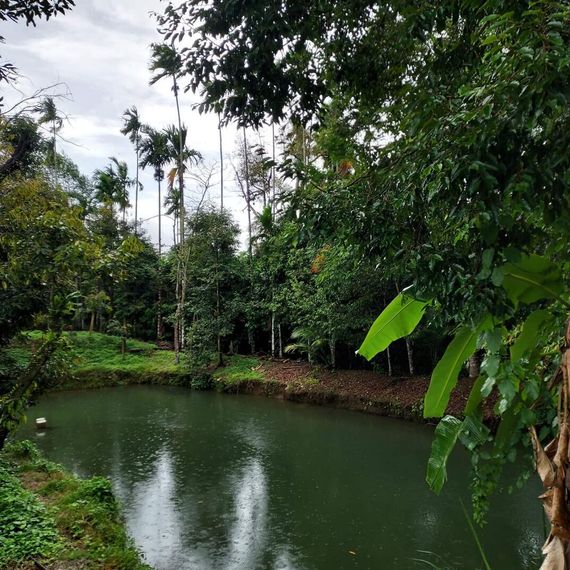 แชท หาเพื่อนคุย, หากิ๊ก 