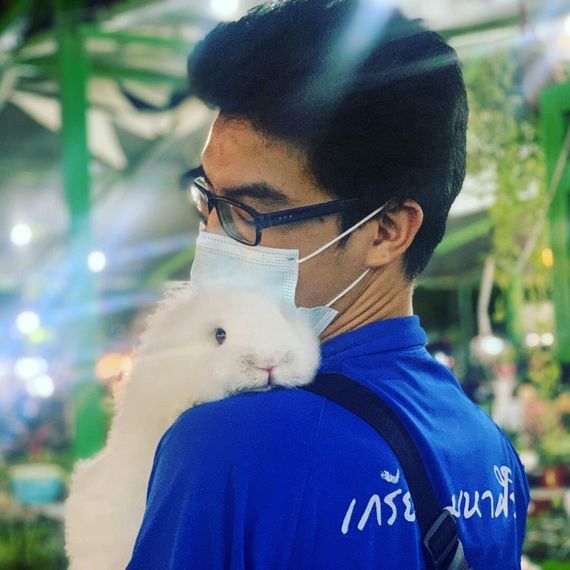 แชท หาแฟน, โสด 