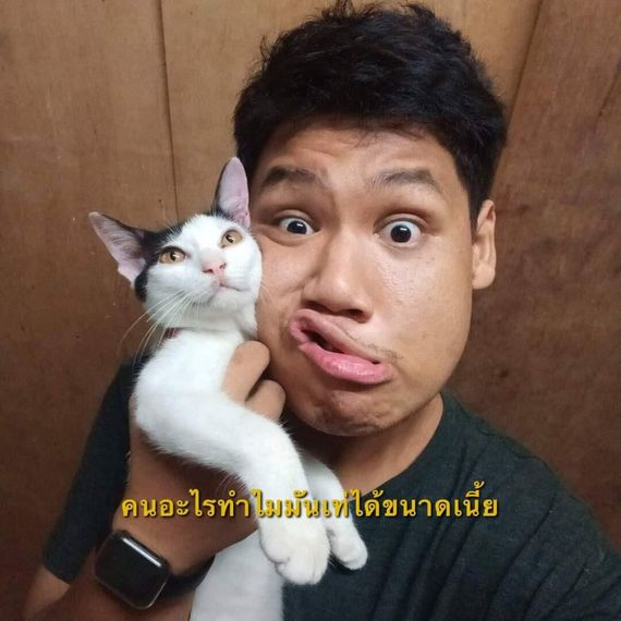 chat looking for friends 