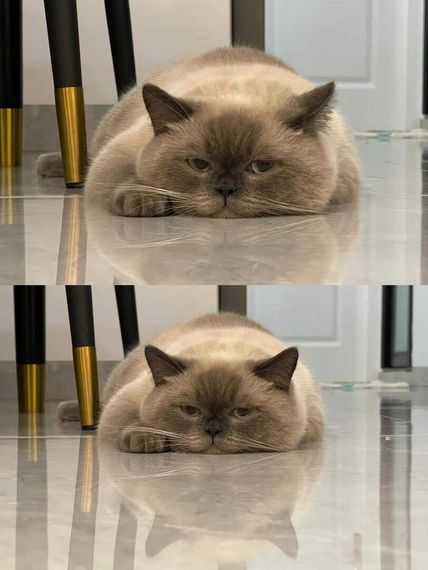 แชท หาเพื่อนคุย, โสด 