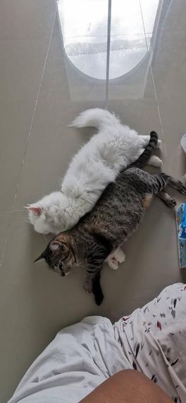แชท หาเพื่อนคุย, หาเพื่อนเที่ยว 