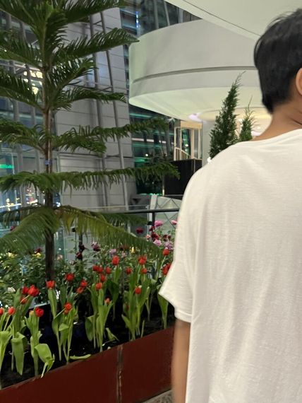 chat find love, single 