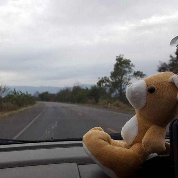 แชท หาเพื่อนคุย  ที่อยู่  ระยอง