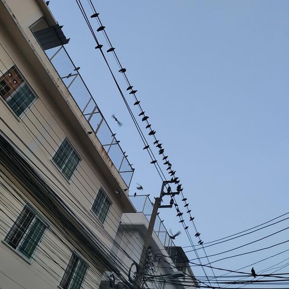 แชท หาเพื่อนคุย, หาเพื่อนเที่ยว 