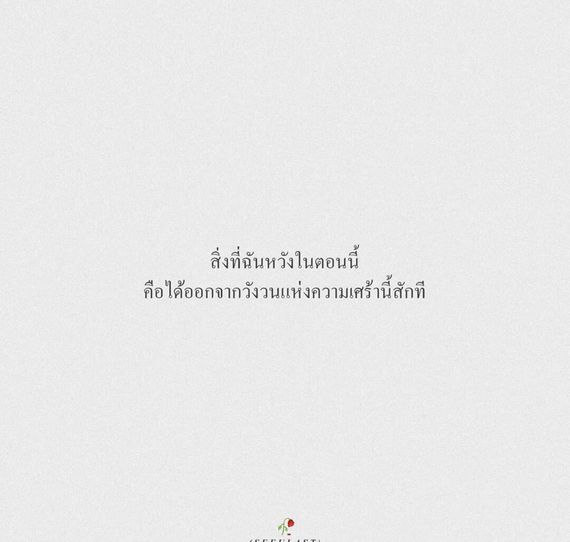 แชท โสด