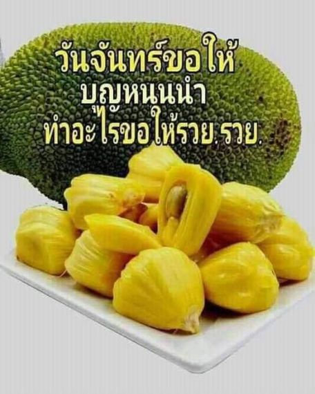 แชท หาเพื่อนคุย  ที่อยู่  ลพบุรี