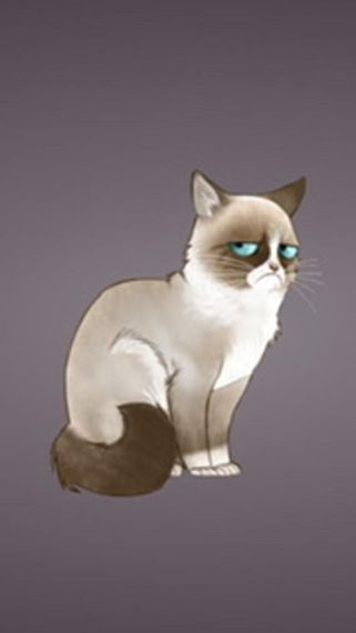 แชท หาแฟน, หาเพื่อนคุย  ที่อยู่  อุบลราชธานี