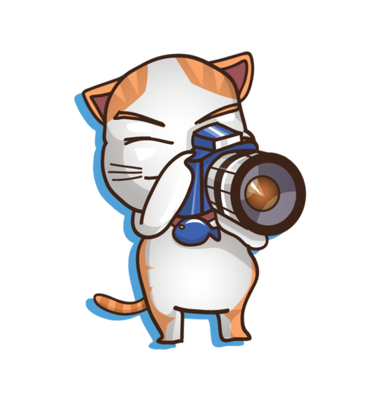 chat looking for friends 